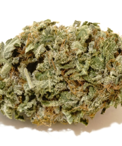 Buy Hindu Kush Online