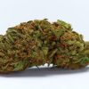 Buy Durban Poison (AAAA+)