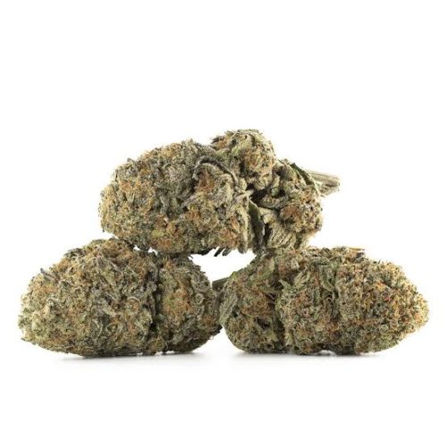 Shop | Bulk Buddy Weed Dispensary